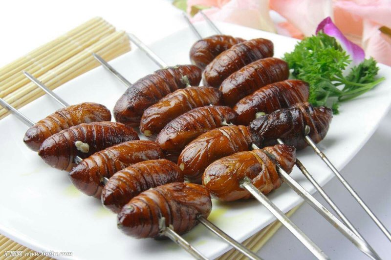 昆虫系销售，蚂蚱，金蝉，蝎子，蚕蛹，