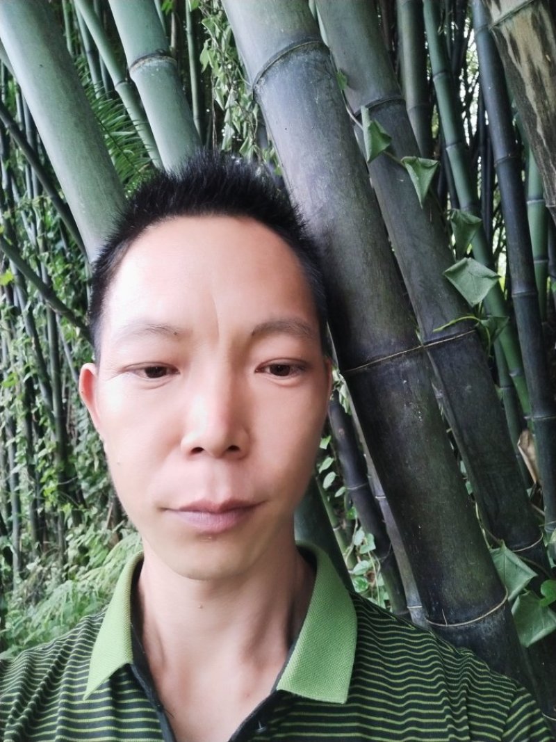 竹杆出售