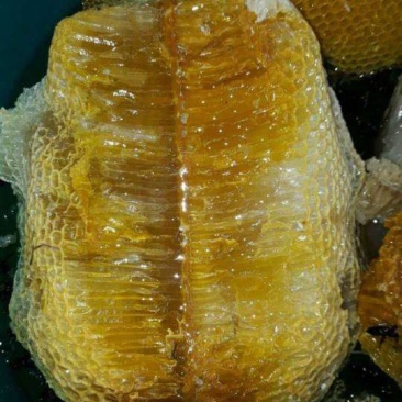 纯野生蜂蜜