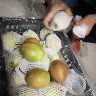 红香酥预售接单中
