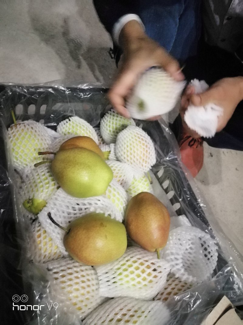 红香酥预售接单中
