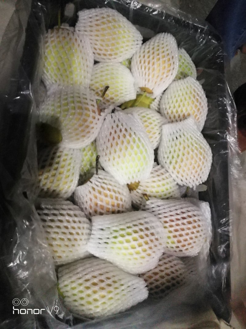 红香酥预售接单中