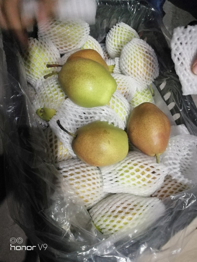 红香酥预售接单中