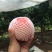 绿化九位置蓟县个大桃甜汁多口感好