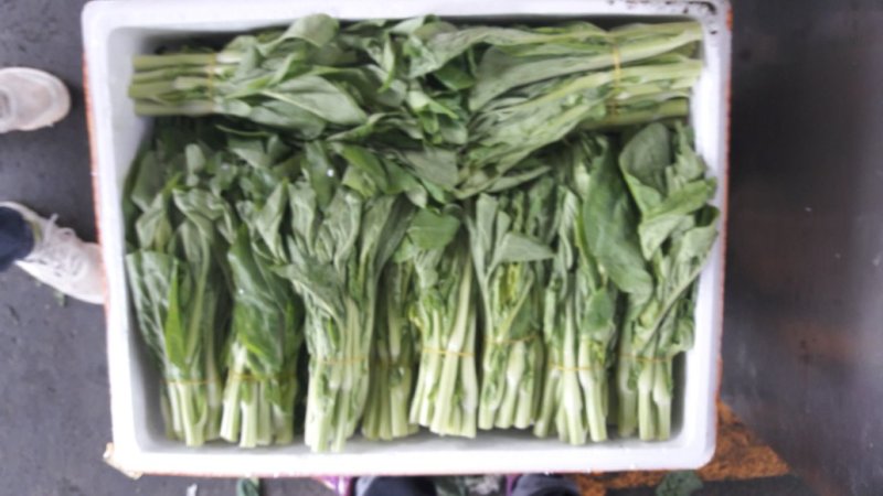增城菜心，芥兰，菜心，白菜苔，豆苗，西兰花等销售代卖！