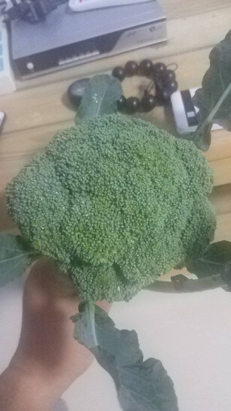 增城菜心，芥兰，菜心，白菜苔，豆苗，西兰花等销售代卖！