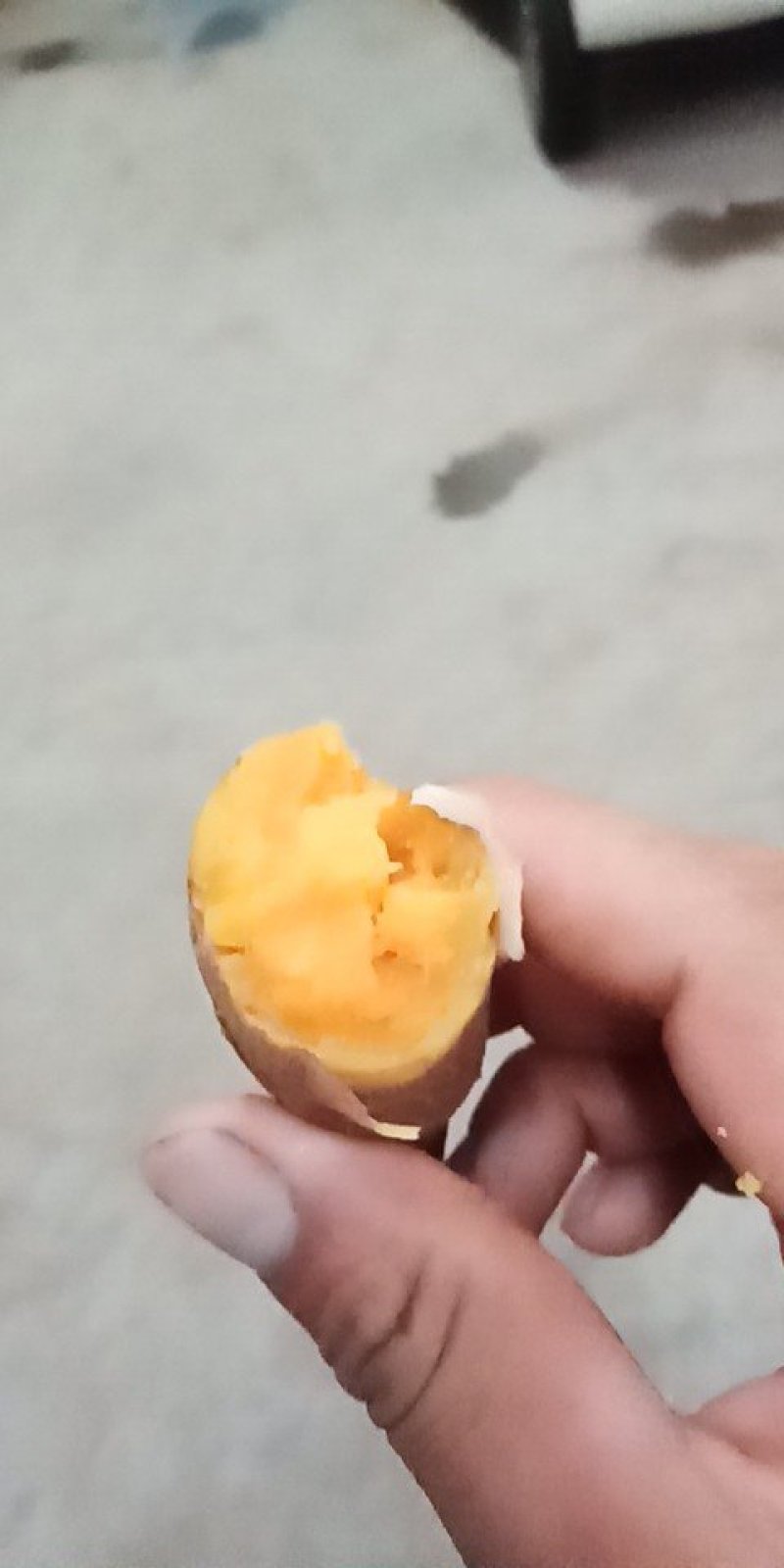 纯沙土地红薯