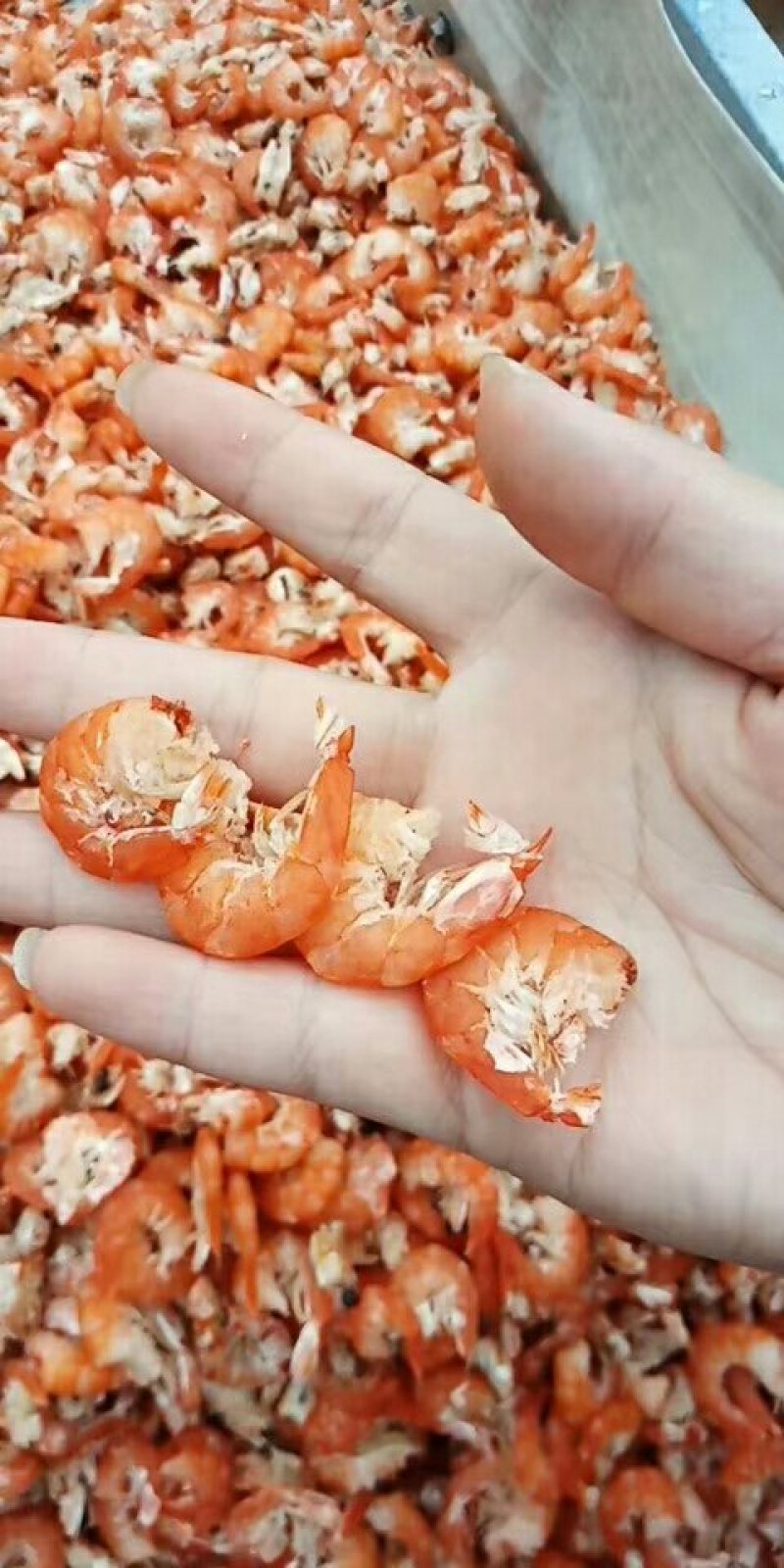特级虾仁，对虾米