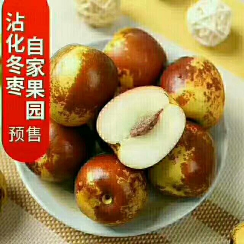 沾化冬枣