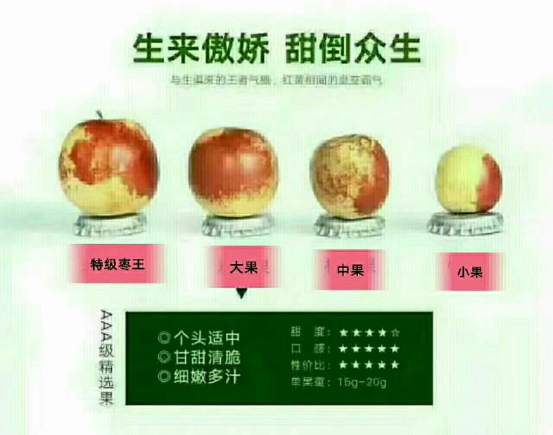 沾化冬枣
