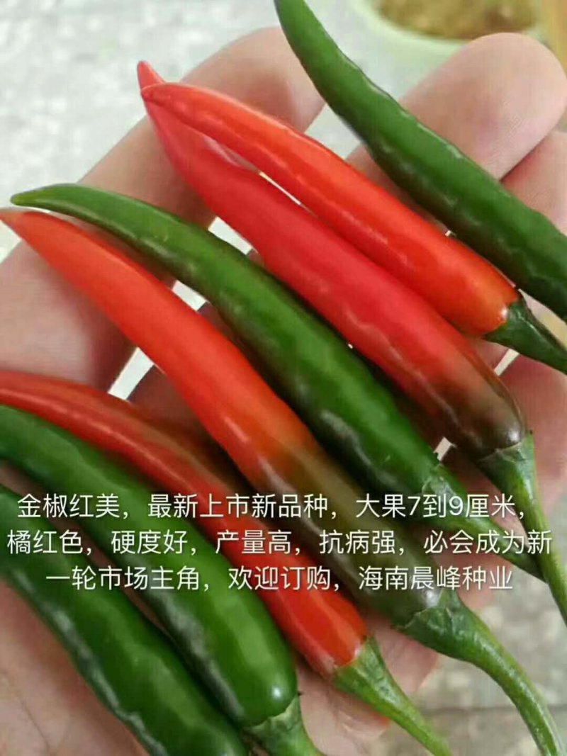 辣椒