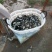 大量出售每斤3-30尾，100-500尾各种规格鲤鱼