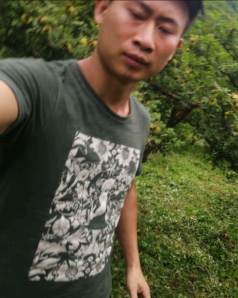 家乡刺梨高品质