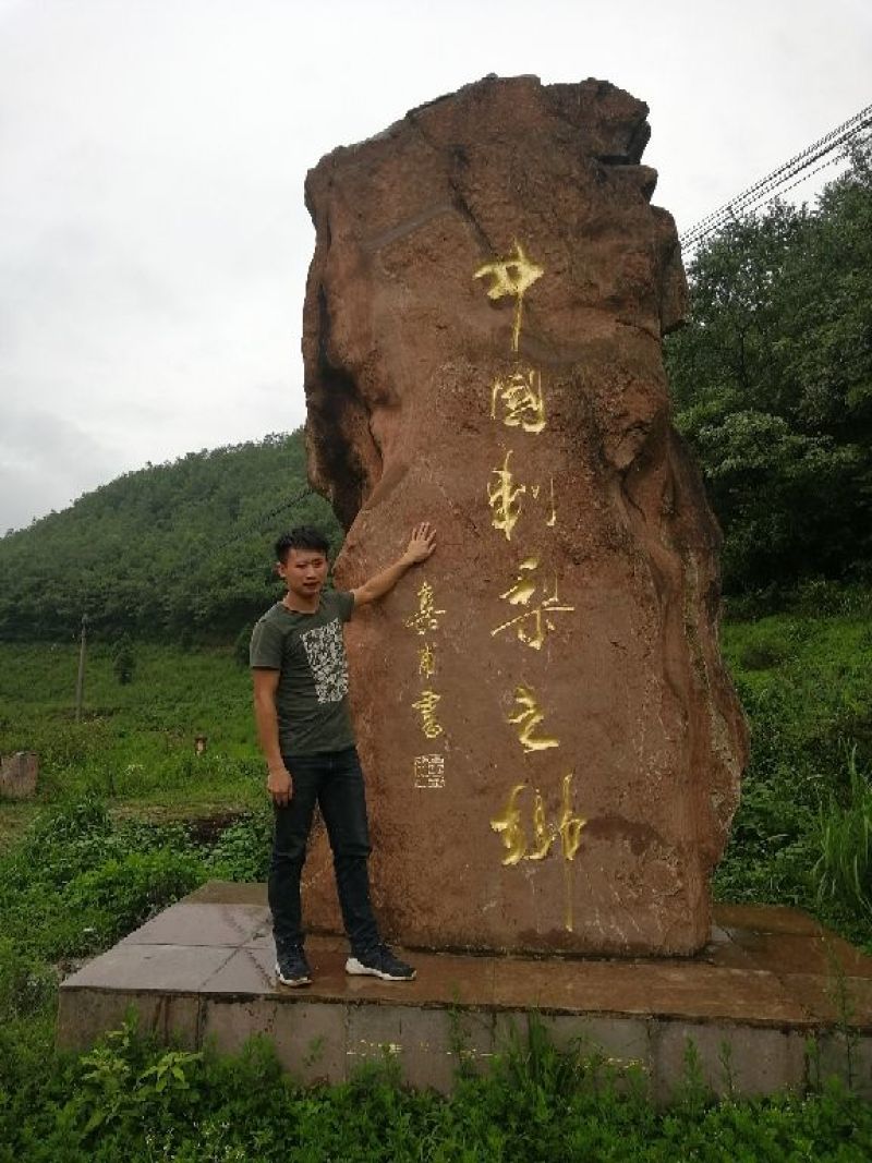 家乡刺梨高品质