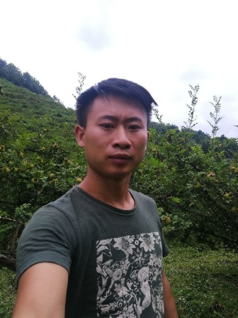 家乡刺梨高品质