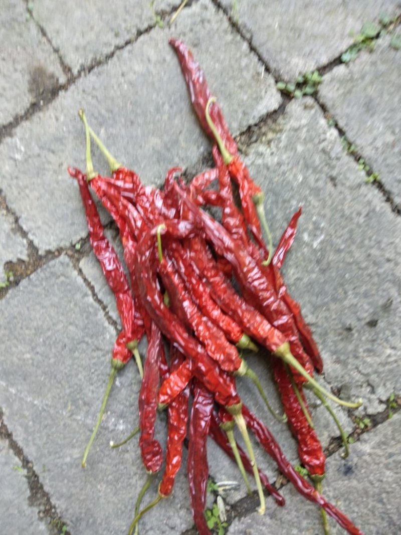 朝天椒，线椒，干货，质量好