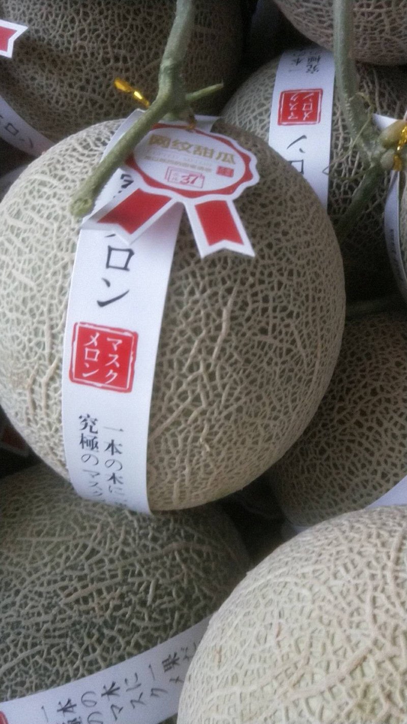 阿鲁斯网纹瓜