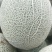 阿鲁斯网纹瓜