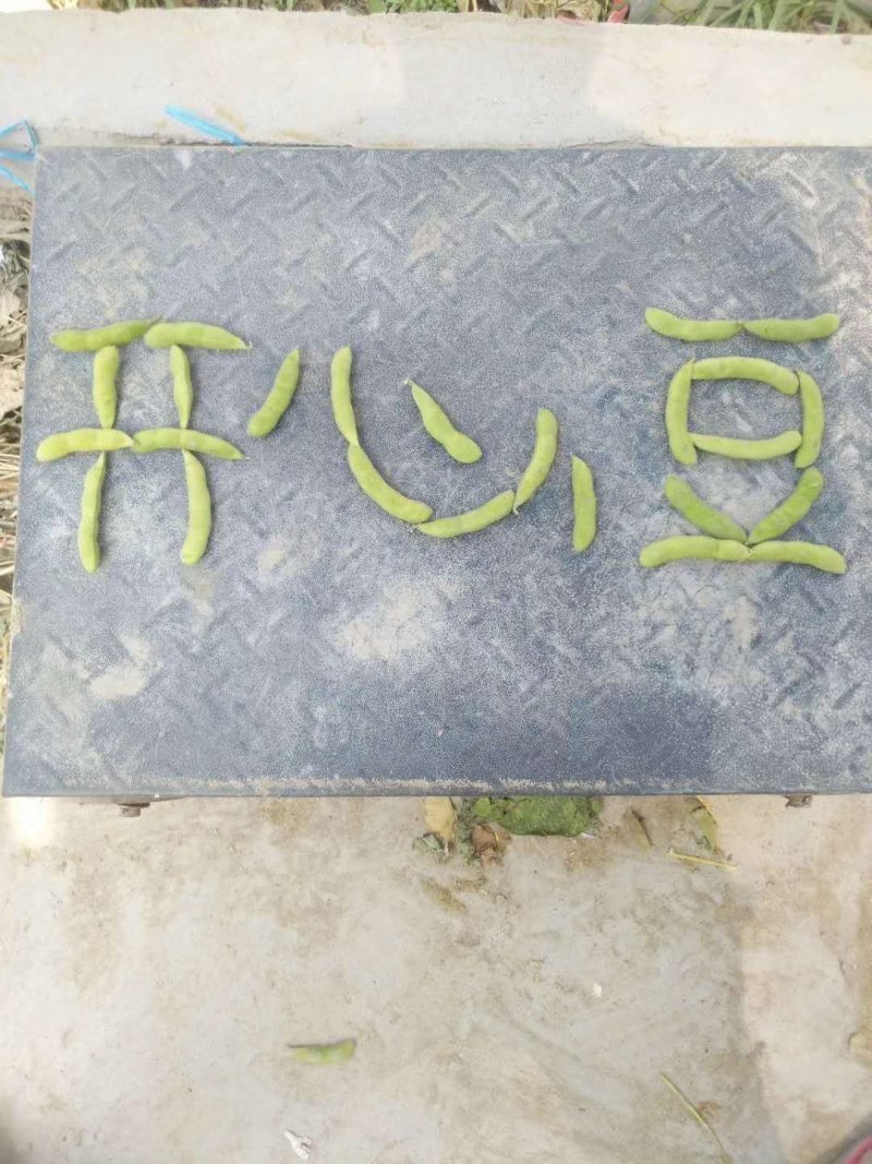 毛豆，翠绿宝，绿宝石，开心绿，大青豆…