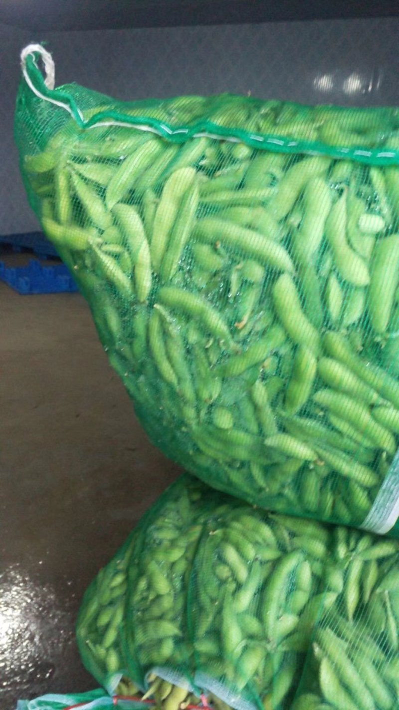 毛豆，翠绿宝，绿宝石，开心绿，大青豆…