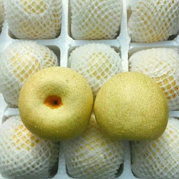 梨