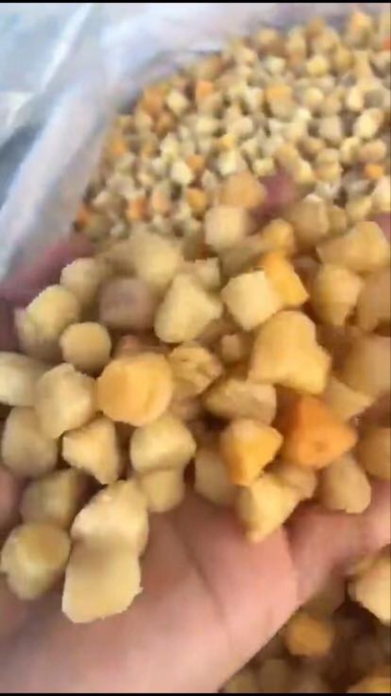 干贝福建漳州东山特产干贝（二级）