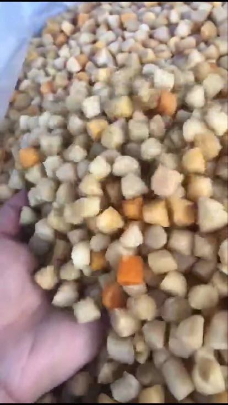 干贝福建漳州东山特产干贝（二级）