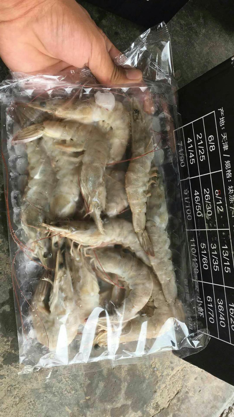 南美白对虾