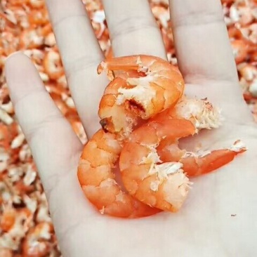特级虾仁，对虾米