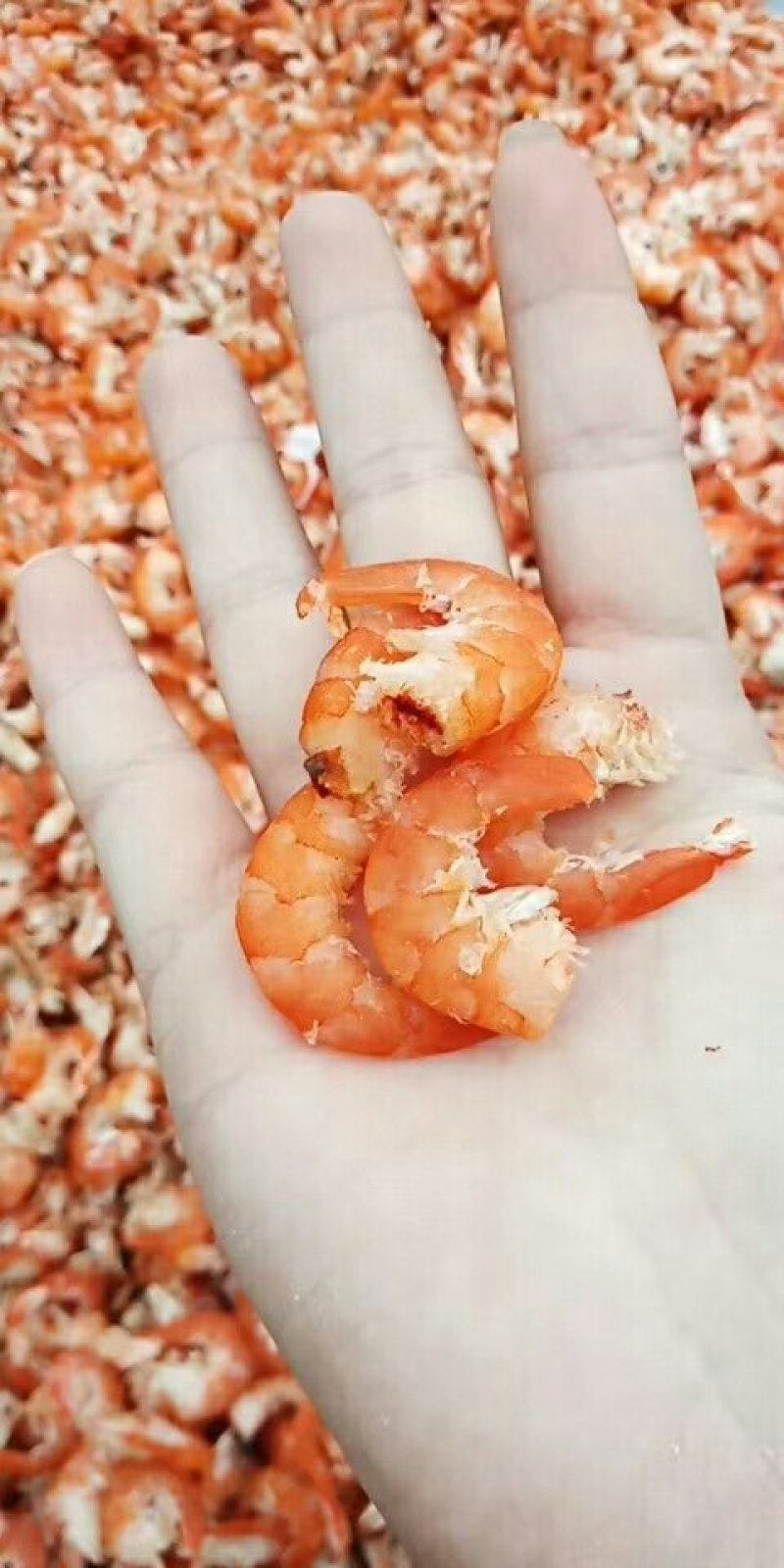 特级虾仁，对虾米