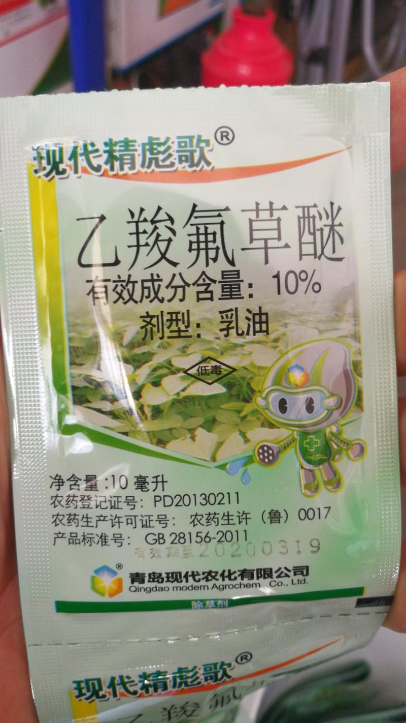 现代精彪哥10%乙羧氟草醚阔叶草除草剂