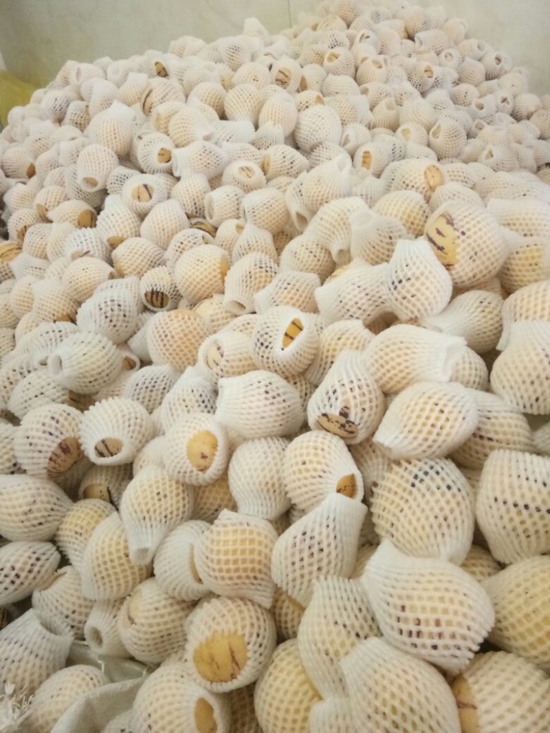 现货现货！