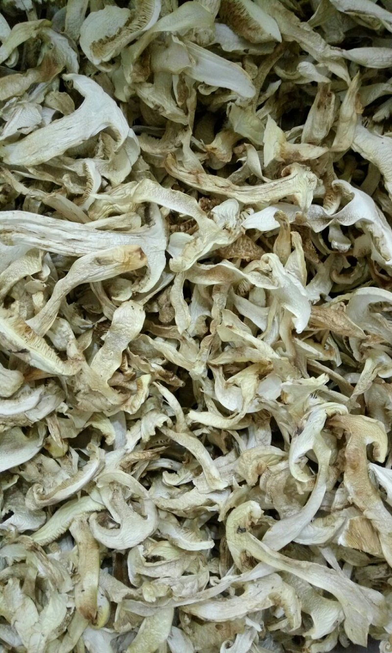 松茸干片