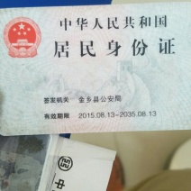 冬瓜