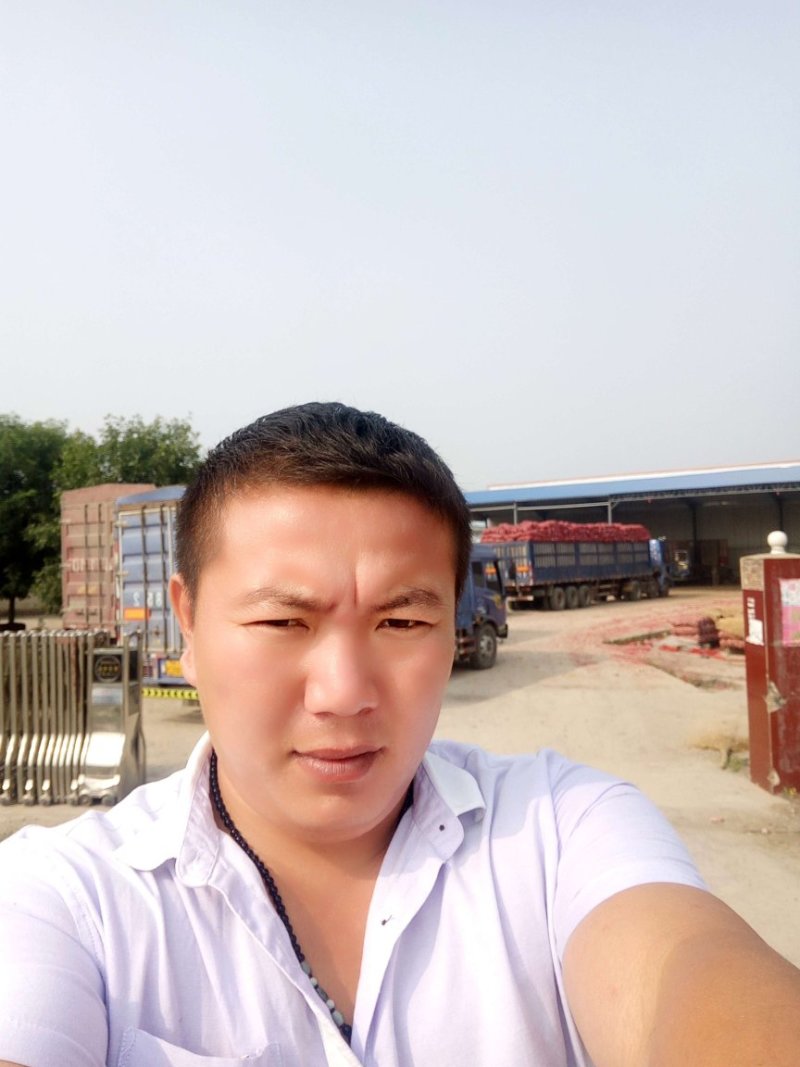 山东洋葱