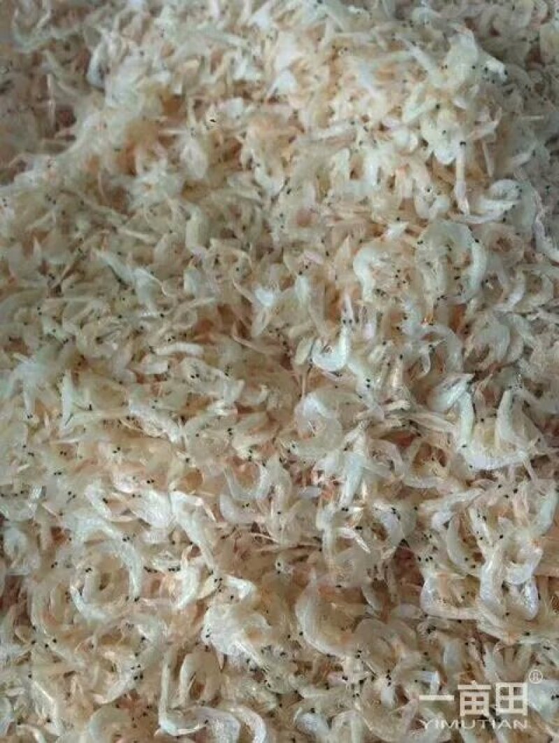 无盐虾皮