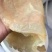 天然海蜇