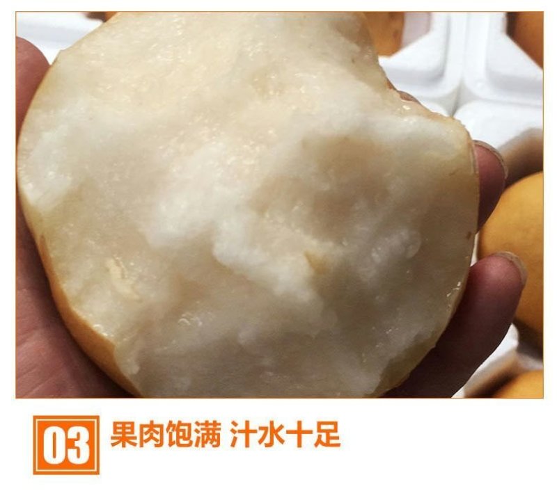 【新果现货】【一件代发】丰水梨脆甜多汁5斤包邮，