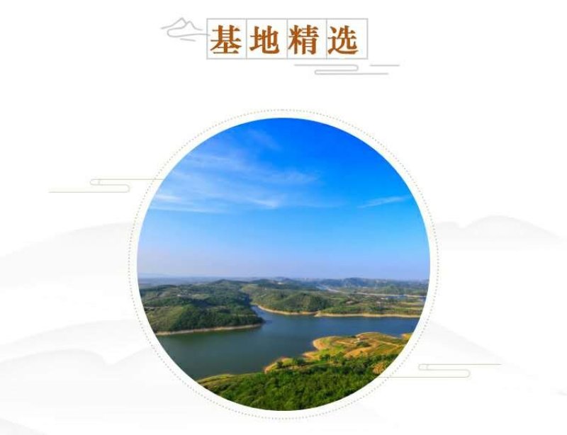 【新果现货】【一件代发】丰水梨脆甜多汁5斤包邮，