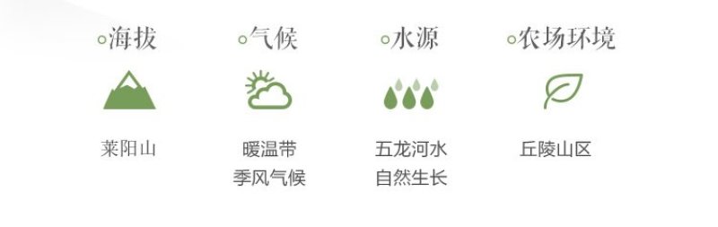 【新果现货】【一件代发】丰水梨脆甜多汁5斤包邮，