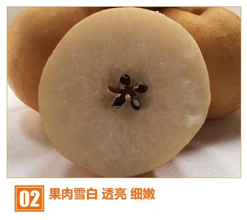 【新果现货】【一件代发】丰水梨脆甜多汁5斤包邮，