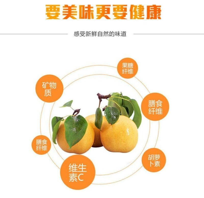 【新果现货】【一件代发】丰水梨脆甜多汁5斤包邮，