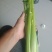西芹