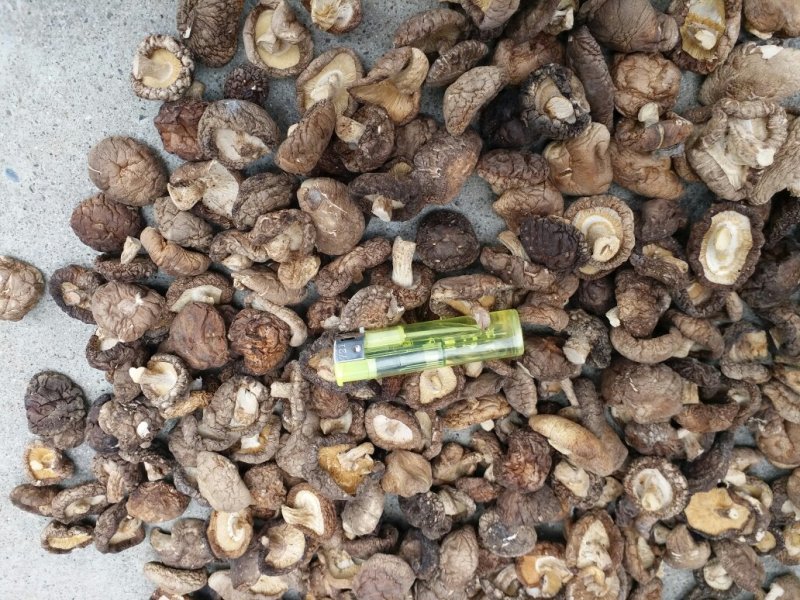 干香菇