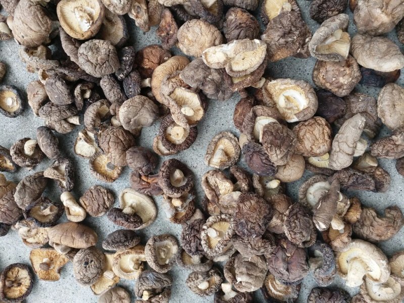 干香菇