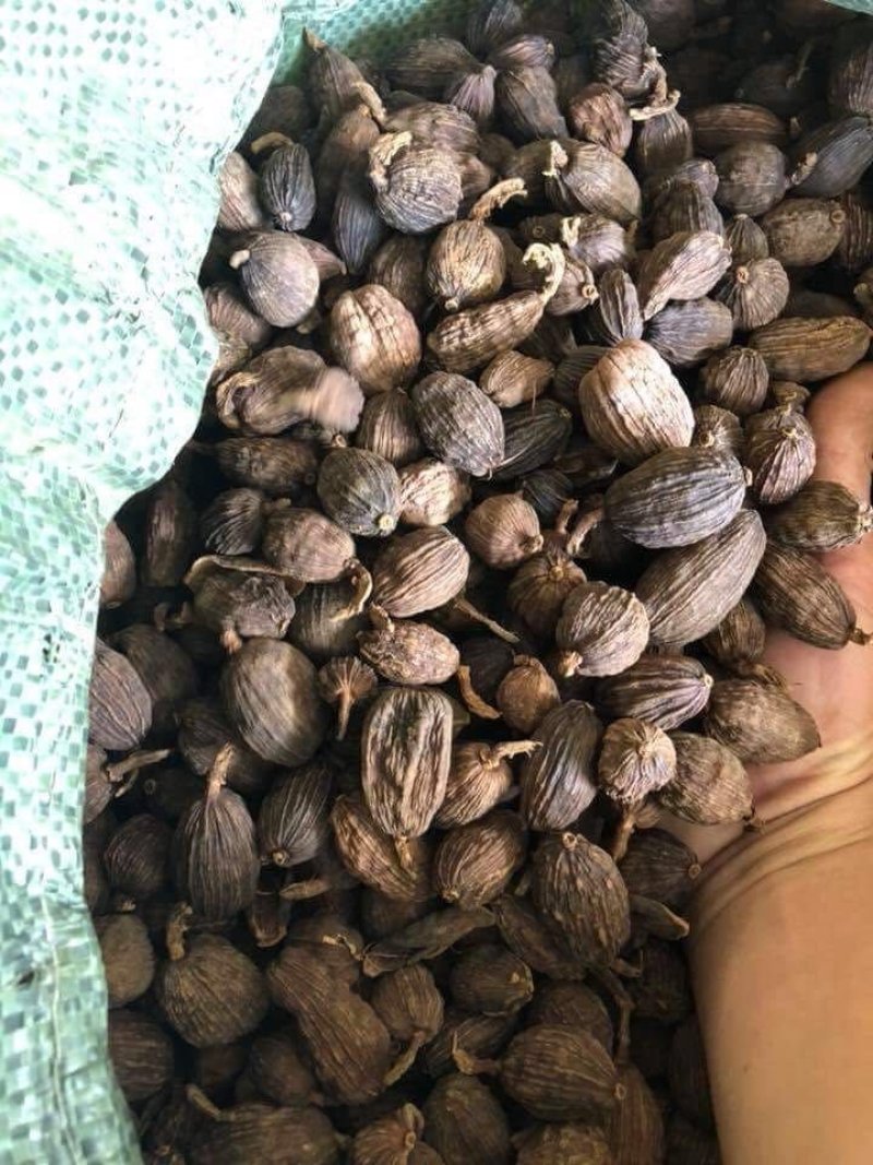 草果