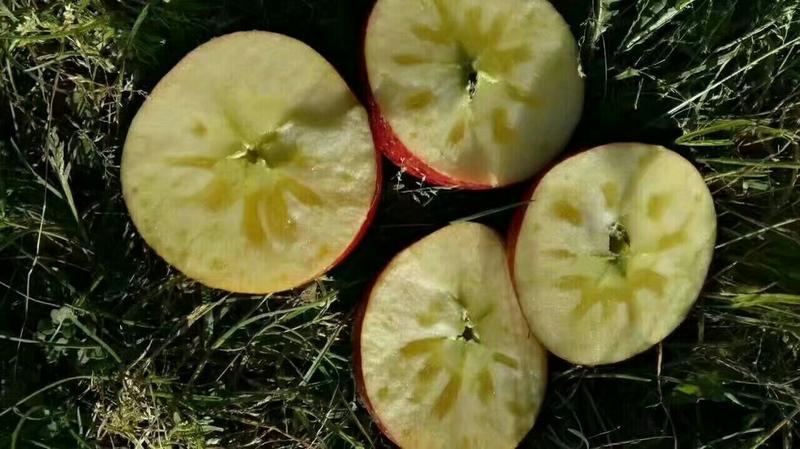 四川盐源红富士苹果，丑苹果，一件代发，产地直销