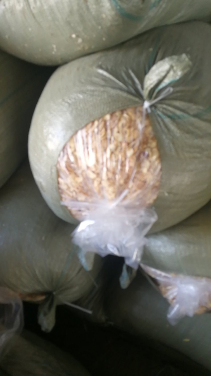 大量现货