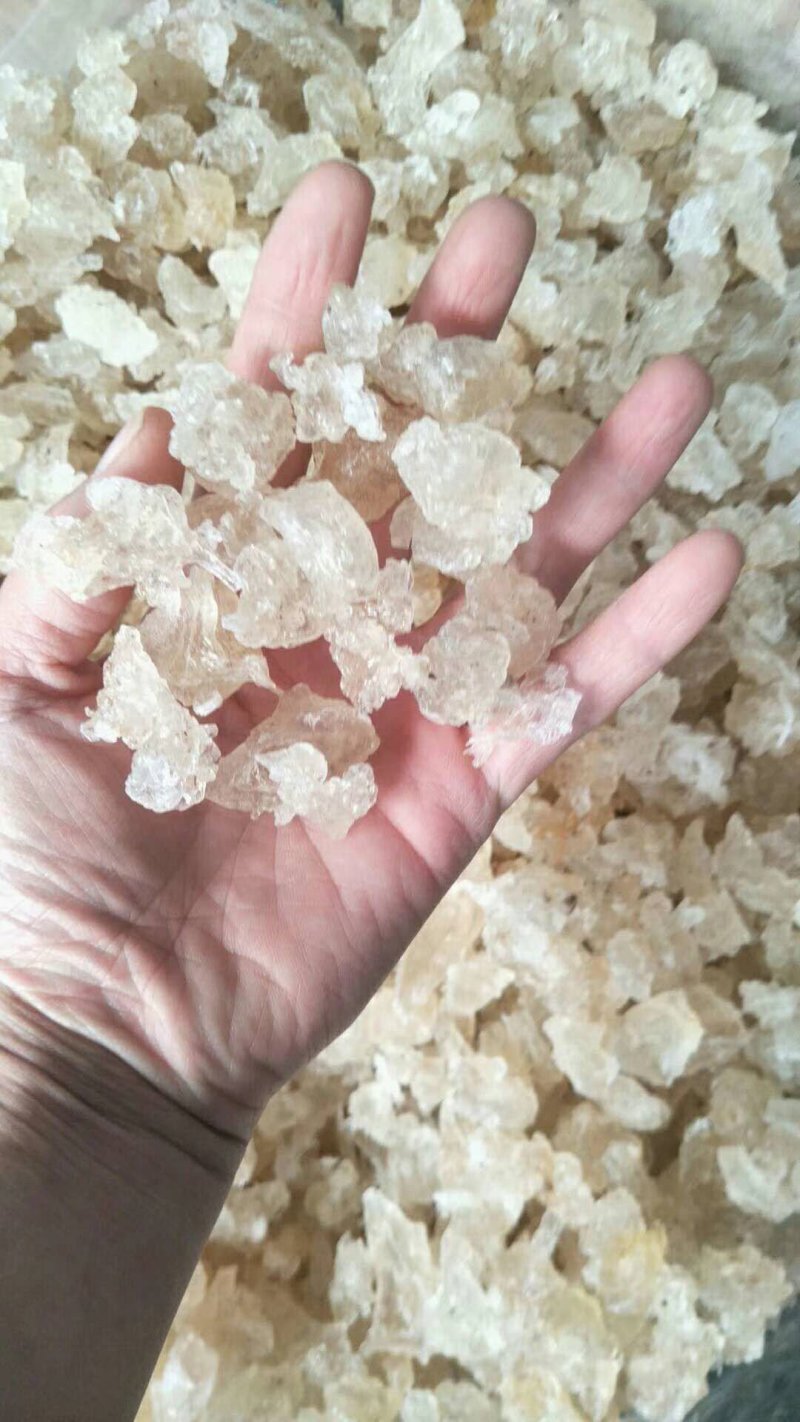 云南拉丝雪燕胶批发此货属B级雪燕欢迎选购厂家直销