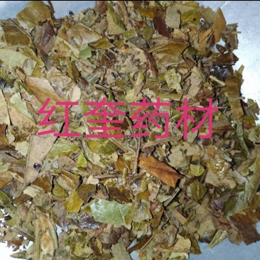 枇杷叶，炙芭叶密炙芭叶货好，欢迎下单